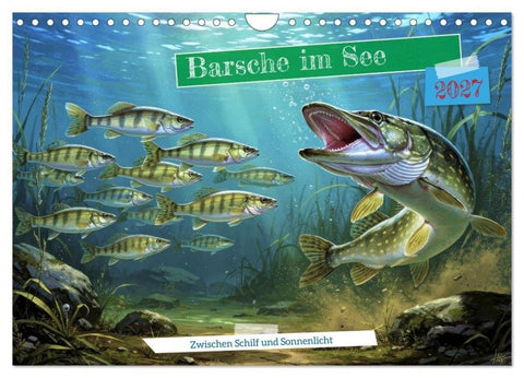 Barsche im See (Wandkalender 2027 DIN A4 quer), CALVENDO Monatskalender