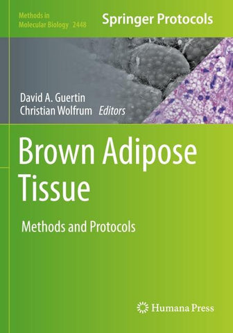 Brown Adipose Tissue