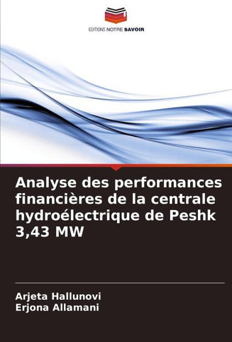 Analyse des performances financières de la centrale hydroélectrique de Peshk 3,43 MW