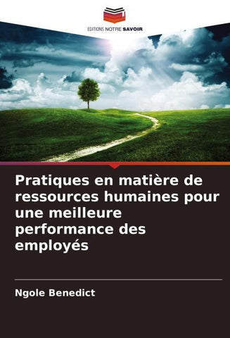 Pratiques en matière de ressources humaines pour une meilleure performance des employés