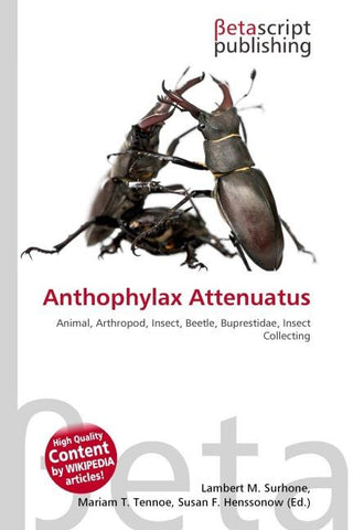 Anthophylax Attenuatus