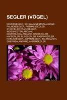 Segler (Vögel)