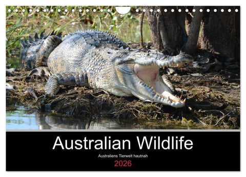 Australian Wildlife (Wandkalender 2026 DIN A4 quer), CALVENDO Monatskalender
