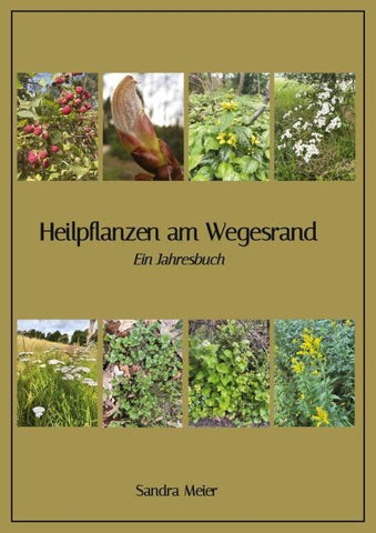 Heilpflanzen am Wegesrand