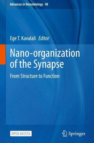 Nano-organization of the Synapse