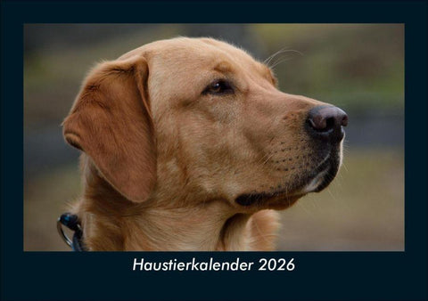 Haustierkalender 2026 Fotokalender DIN A5