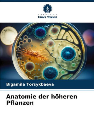 Anatomie der höheren Pflanzen