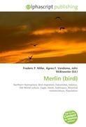 Merlin (bird)