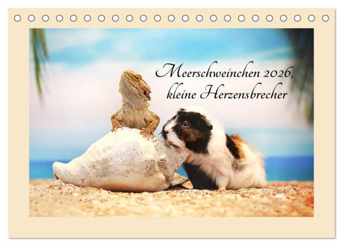 Meerschweinchen 2026, kleine Herzensbrecher (Tischkalender 2026 DIN A5 quer), CALVENDO Monatskalender