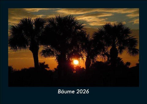 Bäume 2026 Fotokalender DIN A5