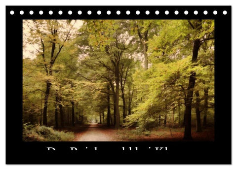 Der Reichswald bei Kleve (Tischkalender 2026 DIN A5 quer), CALVENDO Monatskalender