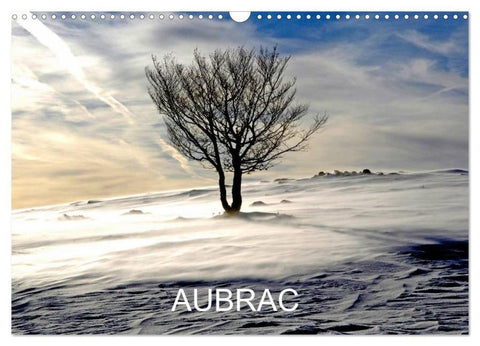AUBRAC (Calendrier mural 2026 DIN A3 vertical), CALVENDO calendrier mensuel
