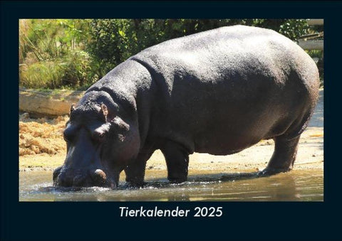 Tierkalender 2025 Fotokalender DIN A5