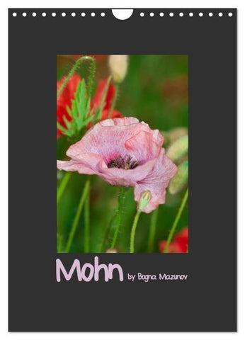 Mohn (Wandkalender 2026 DIN A4 hoch), CALVENDO Monatskalender