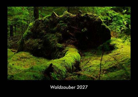 Waldzauber 2027 Fotokalender DIN A3