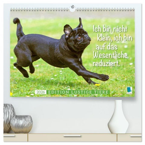 Der Mops: Nicht klein, sondern aufs Wesentliche reduziert. Edition lustige Tiere (hochwertiger Premium Wandkalender 2026 DIN A2 quer), Kunstdruck in Hochglanz