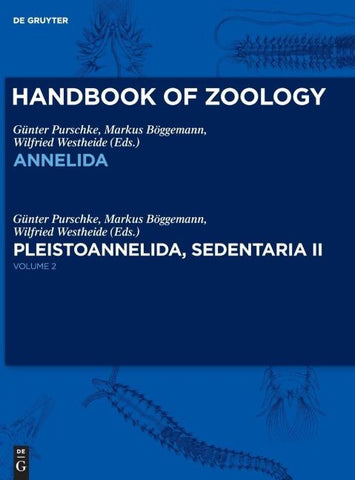 Pleistoannelida, Sedentaria II