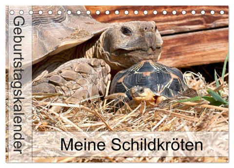 Meine Schildkröten - Geburtstagskalender (Tischkalender 2026 DIN A5 quer), CALVENDO Monatskalender