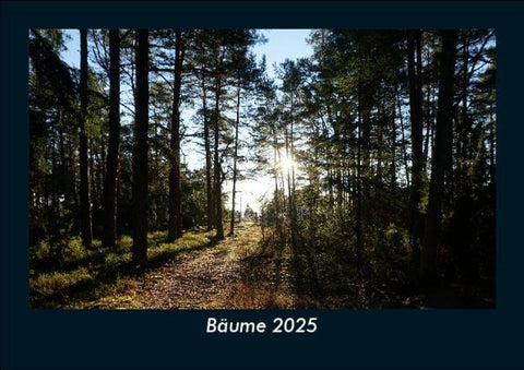 Bäume 2025 Fotokalender DIN A5