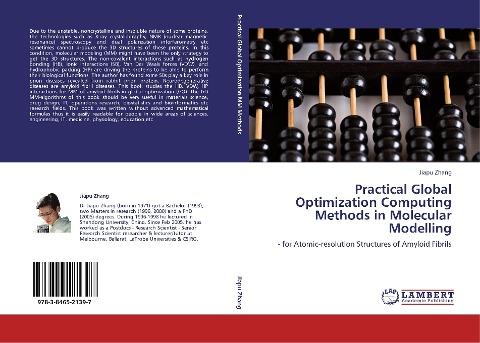 Practical Global Optimization Computing Methods in Molecular Modelling