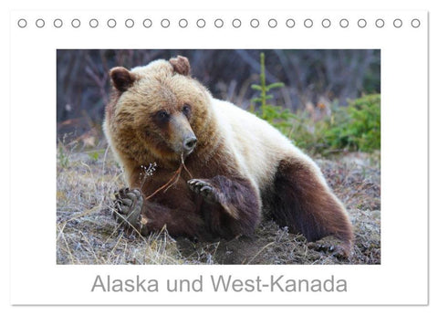 Alaska und West-Kanada (Tischkalender 2026 DIN A5 quer), CALVENDO Monatskalender