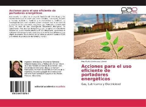 Acciones para el uso eficiente de portadores energèticos