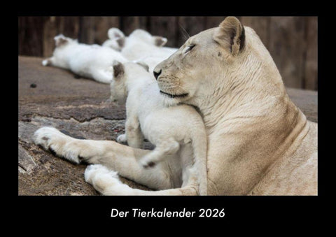 Der Tierkalender 2026 Fotokalender DIN A3