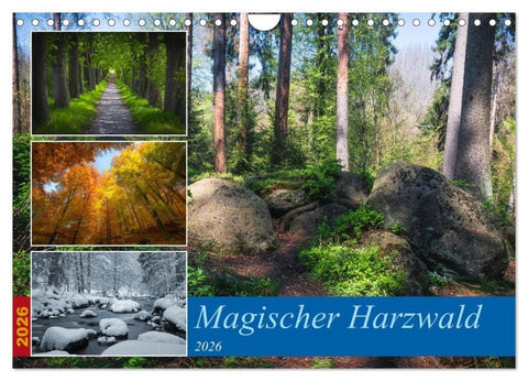 Magischer Harzwald (Wandkalender 2026 DIN A4 quer), CALVENDO Monatskalender