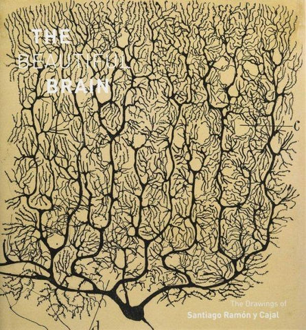 The Beautiful Brain