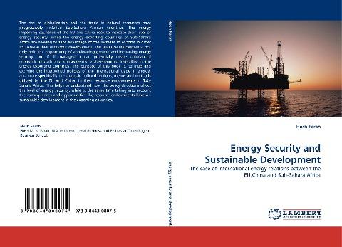 Energy Security and Sustainable Development