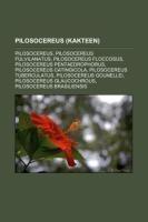 Pilosocereus (Kakteen)