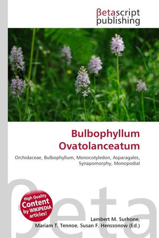 Bulbophyllum Ovatolanceatum