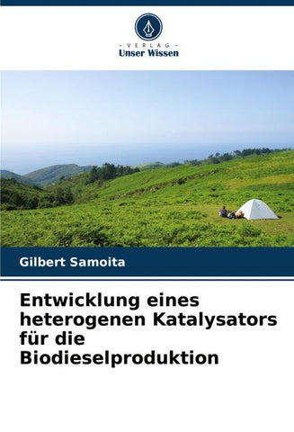 Entwicklung eines heterogenen Katalysators für die Biodieselproduktion