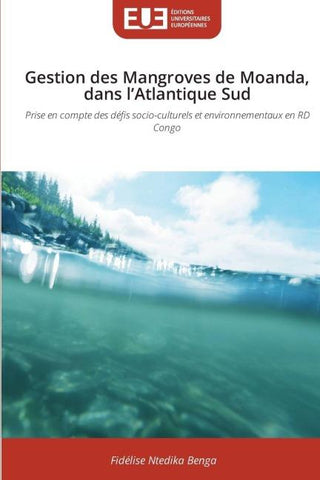 Gestion des Mangroves de Moanda, dans l'Atlantique Sud