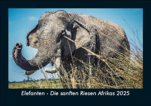 Elefanten - Die sanften Riesen Afrikas 2025 Fotokalender DIN A5