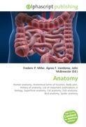 Anatomy