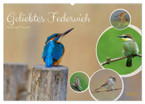 Geliebtes Federvieh (Wandkalender 2026 DIN A2 quer), CALVENDO Monatskalender