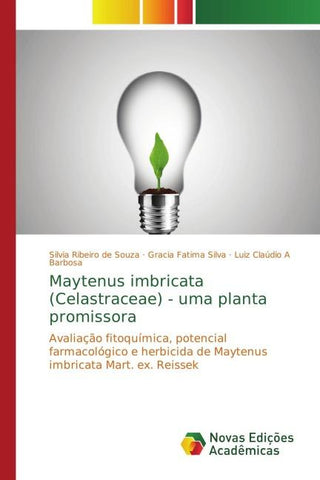 Maytenus imbricata (Celastraceae) - uma planta promissora