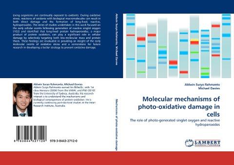 Molecular mechanisms of photo-oxidative damage in cells