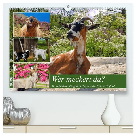 Wer meckert da? (hochwertiger Premium Wandkalender 2026 DIN A2 quer), Kunstdruck in Hochglanz