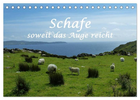 Schafe - soweit das Auge reicht (Tischkalender 2026 DIN A5 quer), CALVENDO Monatskalender
