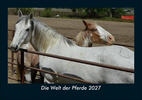 Die Welt der Pferde 2027 Fotokalender DIN A5