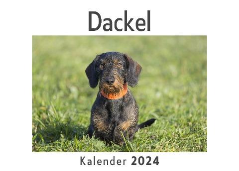 Dackel (Wandkalender 2024, Kalender DIN A4 quer, Monatskalender im Querformat mit Kalendarium, Das perfekte Geschenk)
