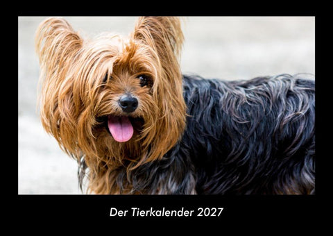 Der Tierkalender 2027 Fotokalender DIN A3