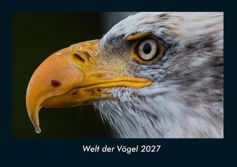Welt der Vögel 2027 Fotokalender DIN A4