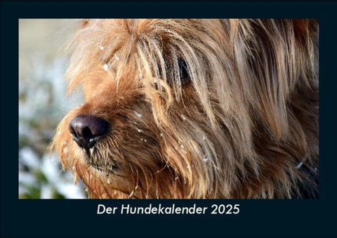 Der Hundekalender 2025 Fotokalender DIN A5
