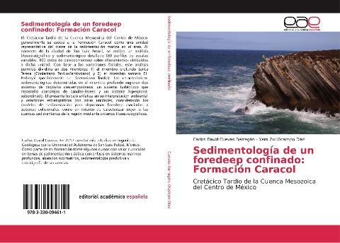 Sedimentología de un foredeep confinado: Formación Caracol