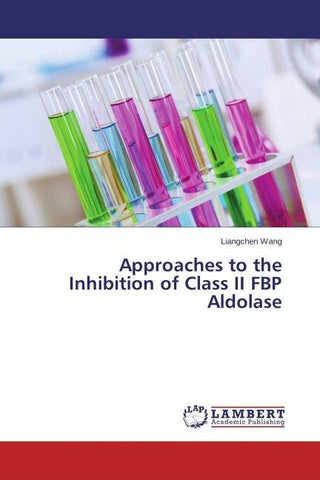Approaches to the Inhibition of Class II FBP Aldolase