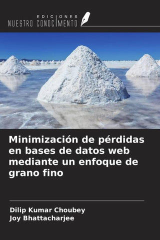 Minimización de pérdidas en bases de datos web mediante un enfoque de grano fino
