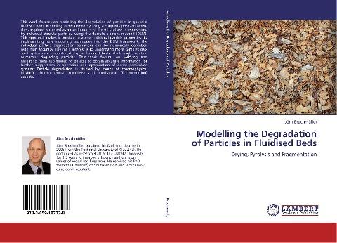 Modelling the Degradation of Particles in Fluidised Beds